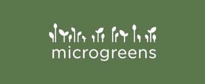 Microgreens în 2019 și 2020