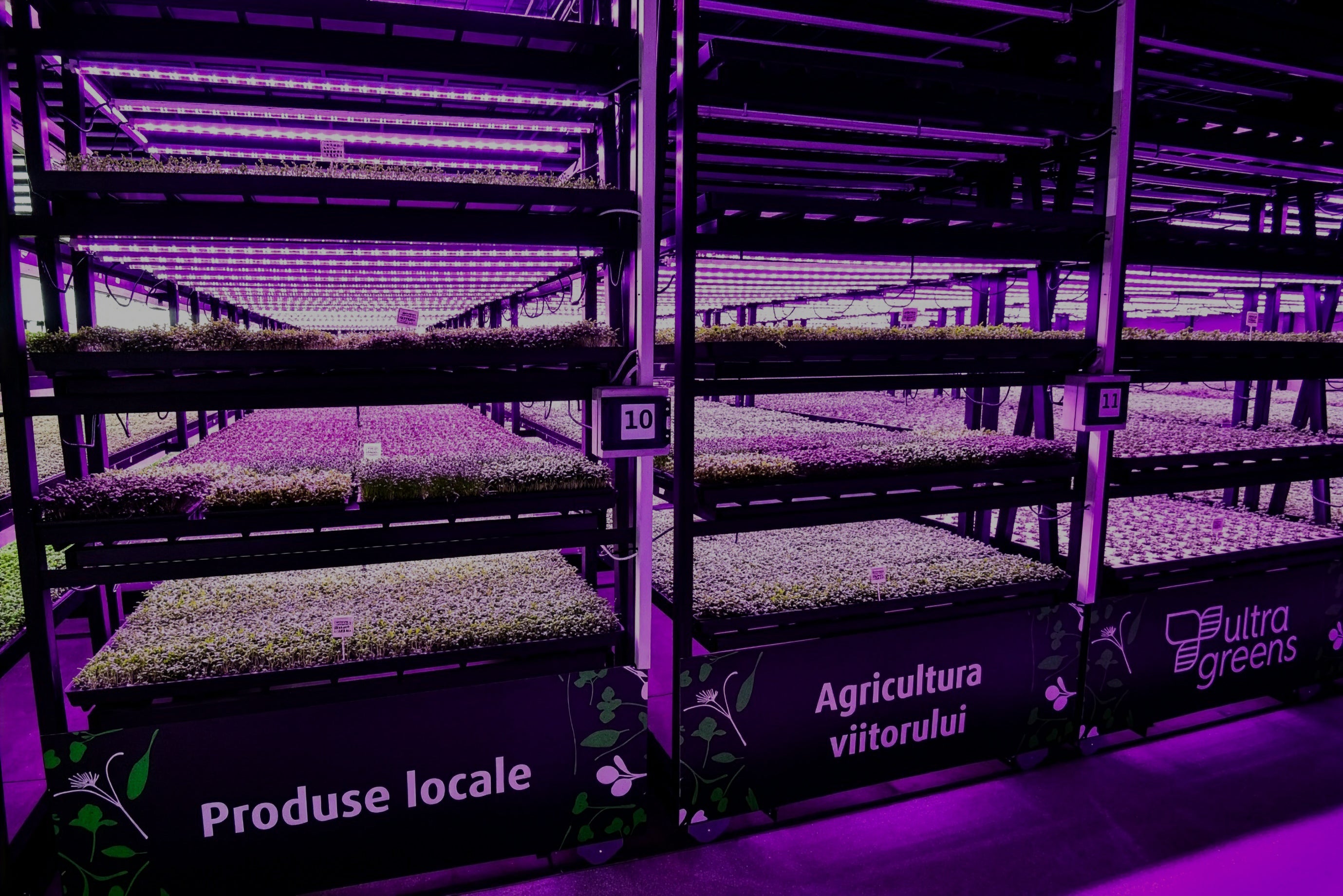 Construiește propria afacere cu microplante
