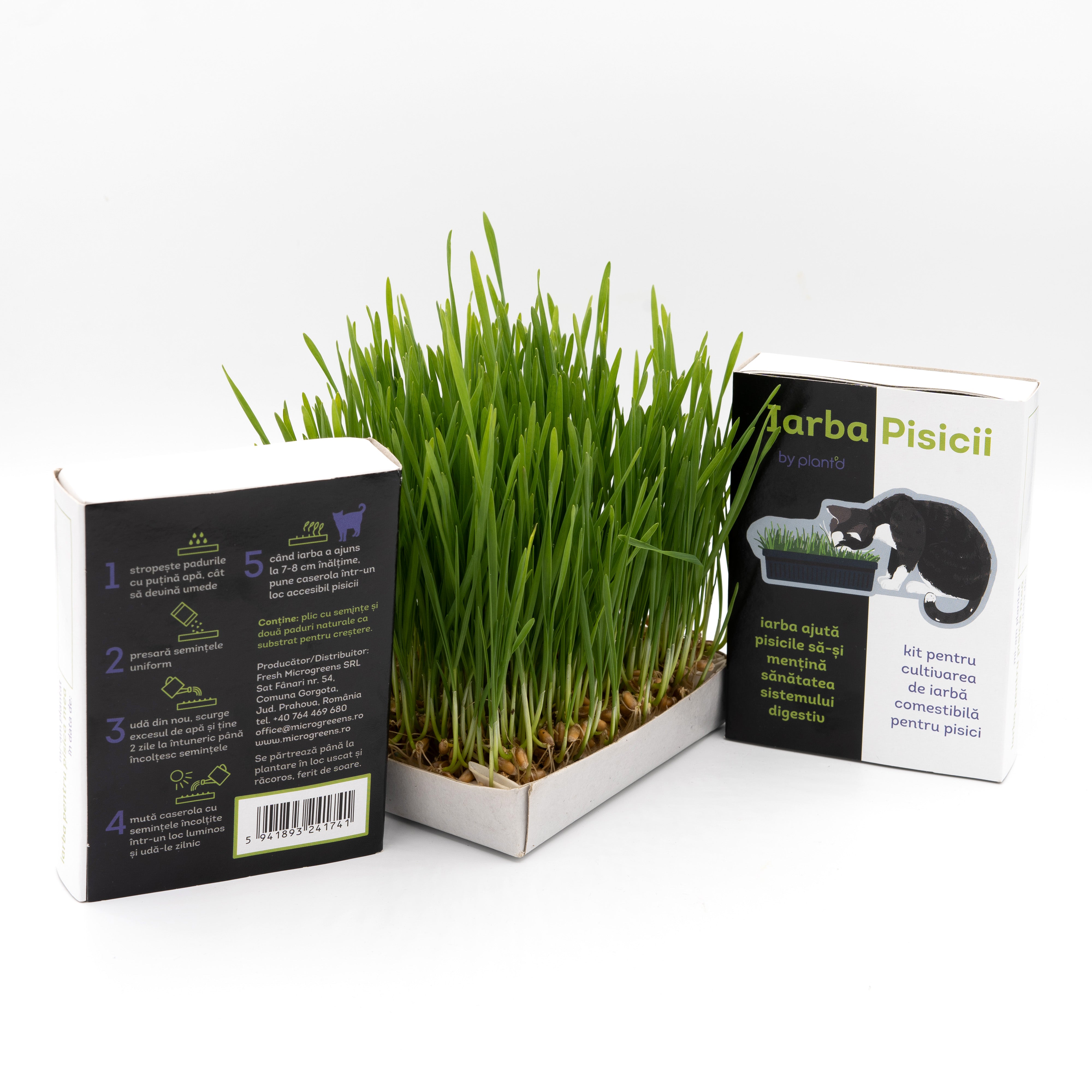 Iarba Pisicii – Kit DIY Natural pentru Sănătatea Pisicii Tale