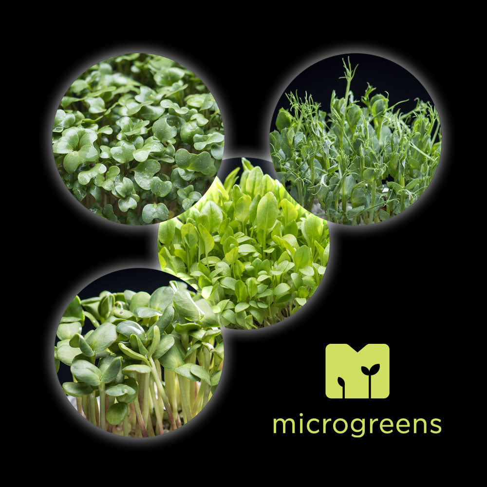 Prime Green