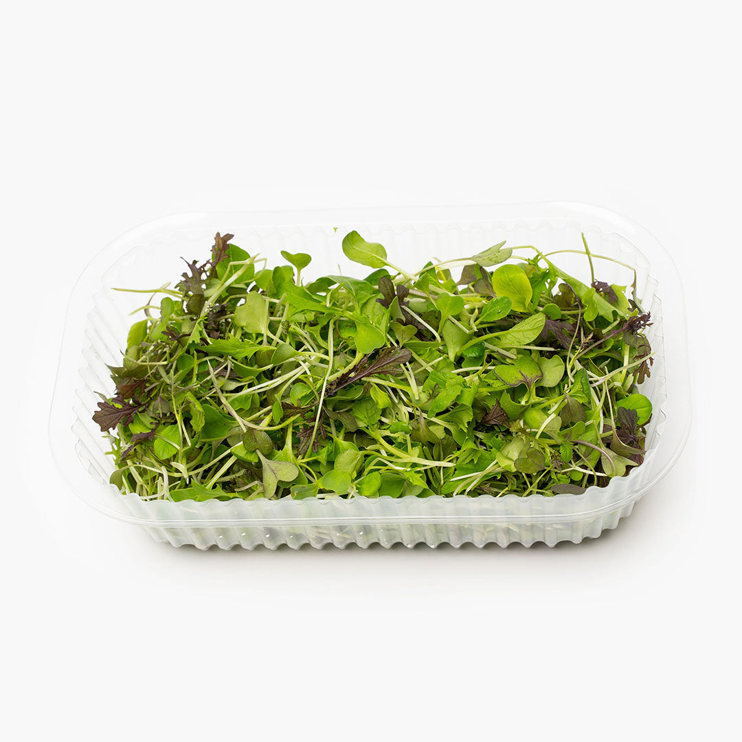 Spicy Salad Mix - Petit Greens