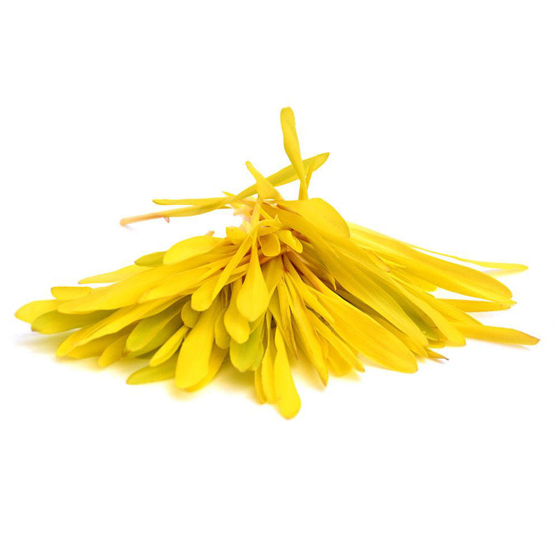 Yellow Popcorn (Vlăstari de porumb)