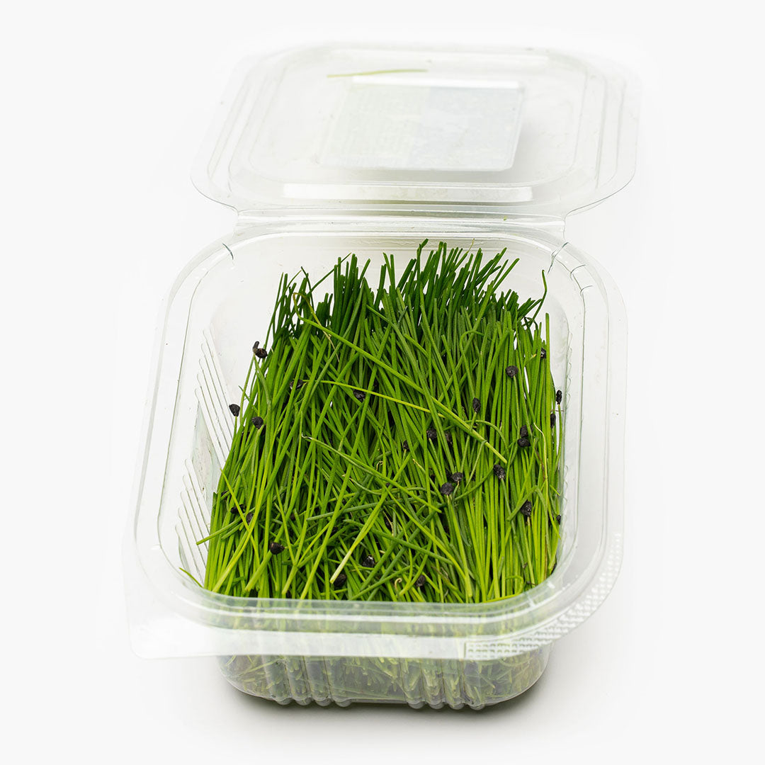 Vlăstari de Chives