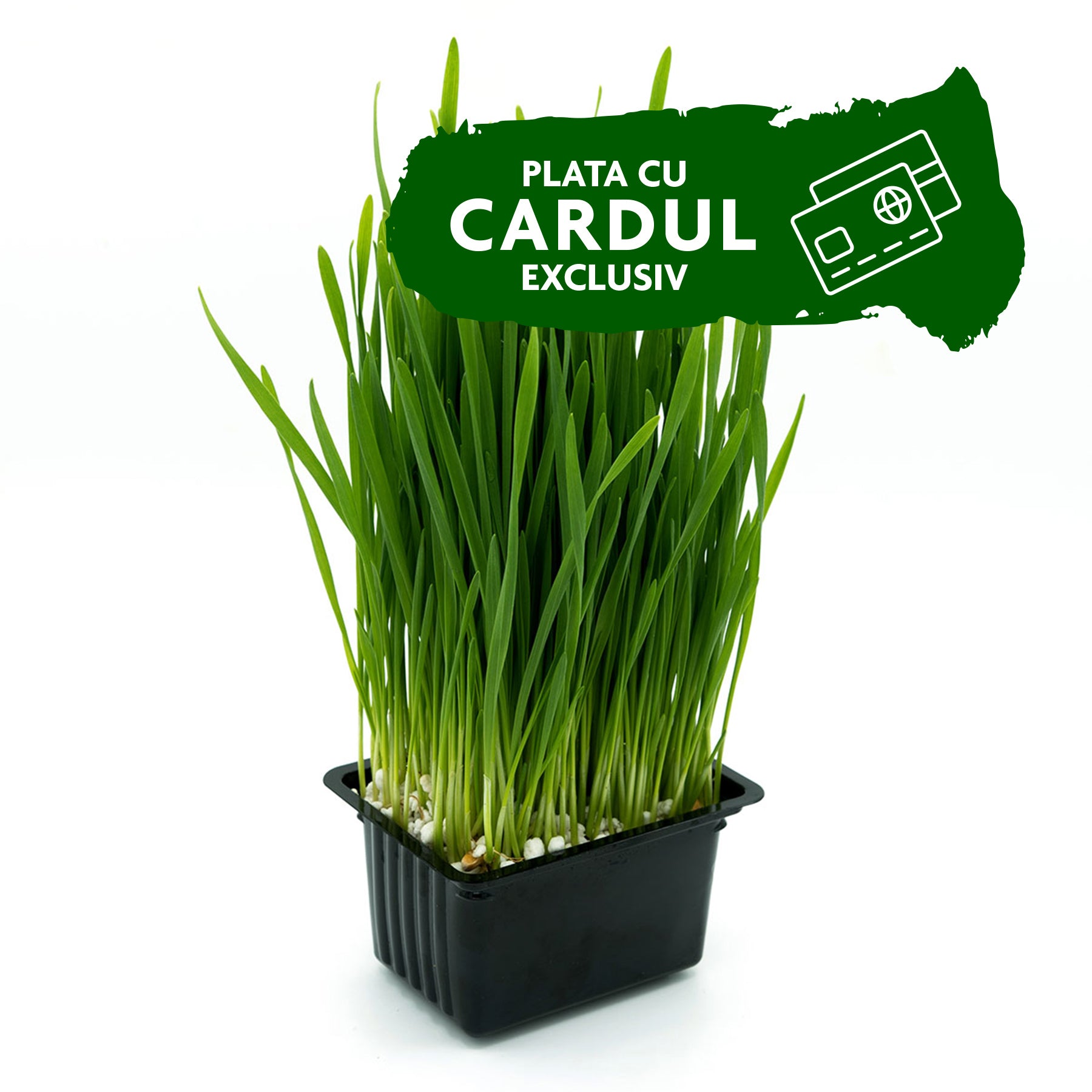 Abonament iarbă de grâu - Detox